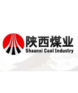 陕煤集团神木红柳林矿业有限公司